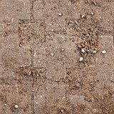 217
