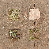 218